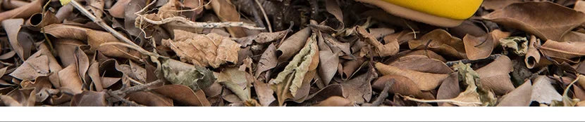 Zapatos de primavera planos retro Mary Jane para niña, de cuero de microfibra