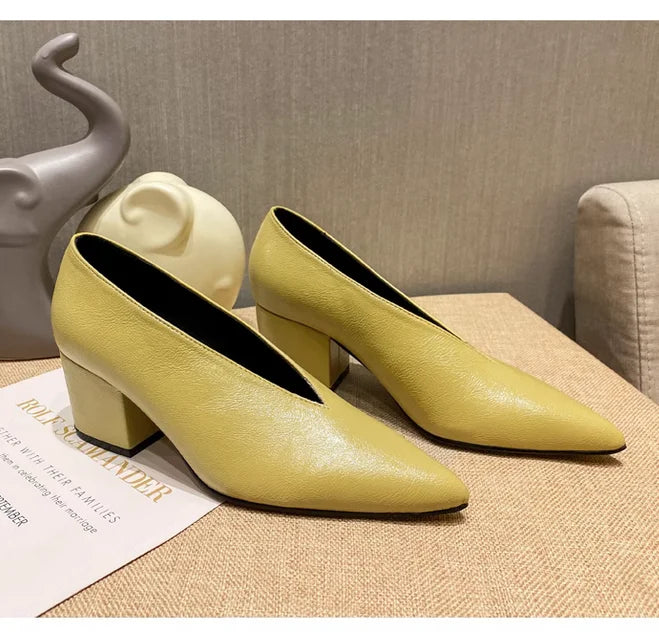 2026 Nyt Forår Efterår Damemode Højhælede Pumps Sexet spidstå Kjole Sko V-snit Design Dame Sko Vintage Hot C323